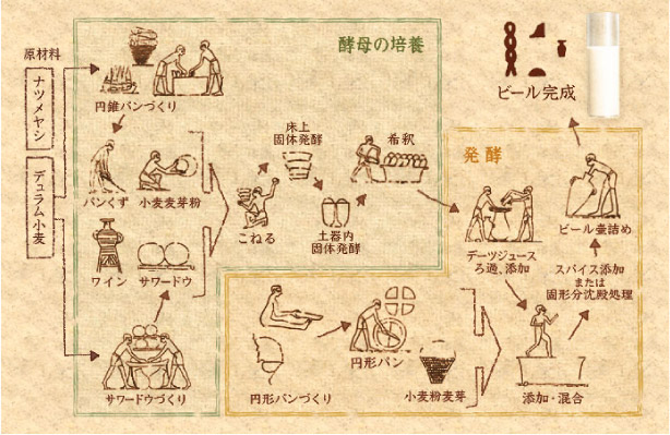 キリンビールは新王国エジプトビール製造工程の新説を考えてみた キリンビール大学 キリン